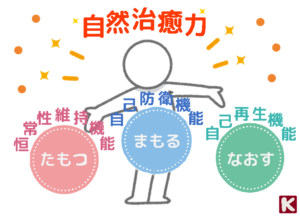 自然な治療力が高まる 足のツボ刺激 きくな元気整骨院